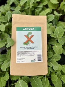 Larvex mod kålsommerfugle og buksboom halvmøl